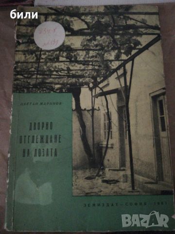 ДВОРНО ОТГЛЕЖДАНЕ НА ЛОЗАТА, снимка 1 - Специализирана литература - 46225527