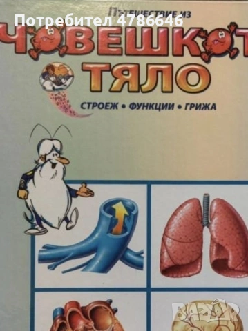 Голяма енциклопедия голям класьор Човешкото тяло