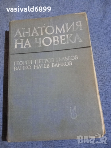"Анатомия на човека"
