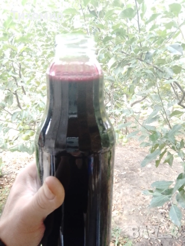 Сироп от черен бъз . Бран в екологично чист район, снимка 2 - Домашни напитки - 29995720