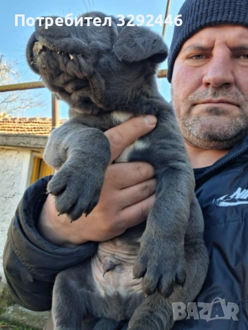 Малки сладурковци! 