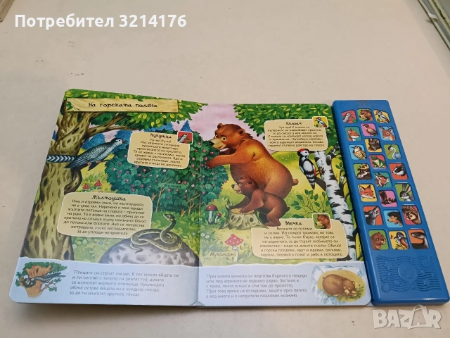 Разходка в гората - книга със звуци - Магдалена Стоянова (Фют, Лукс. издание, Отл. състояние), снимка 3 - Детски книжки - 53736281