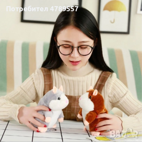 Рико - Говорещият хамстер - Цвят: Сив , Кафяв, снимка 3 - Образователни игри - 54282216