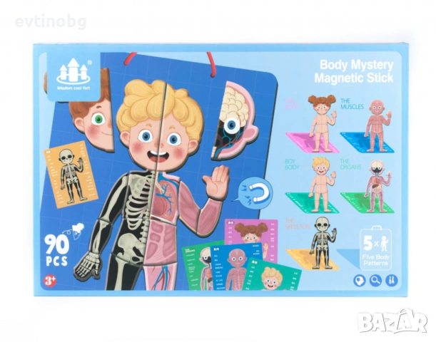 Магнитна дъска с човешкото тяло, снимка 5 - Конструктори - 54066809