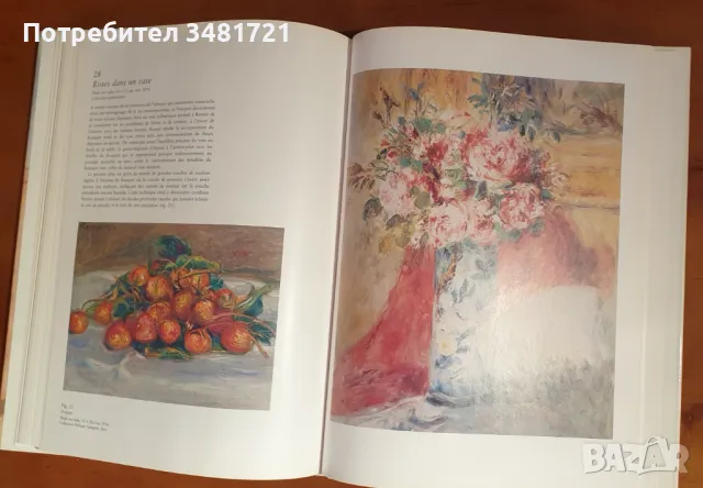 Реноар - визуална енциклопедия / Renoir, снимка 7 - Енциклопедии, справочници - 46827117