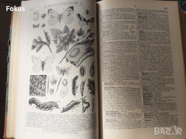 ЕНЦИКЛОПЕДИЯ BROCKHAUS, снимка 5 - Антикварни и старинни предмети - 53486946