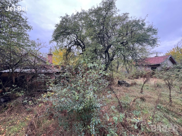 Две Къща с 3дка Двор в Казанлък, Вилна Зона "Старите Лозя" и Тюлбето, снимка 5 - Къщи - 52512610