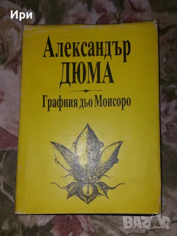 Графиня дьо Монсоро: Част първа