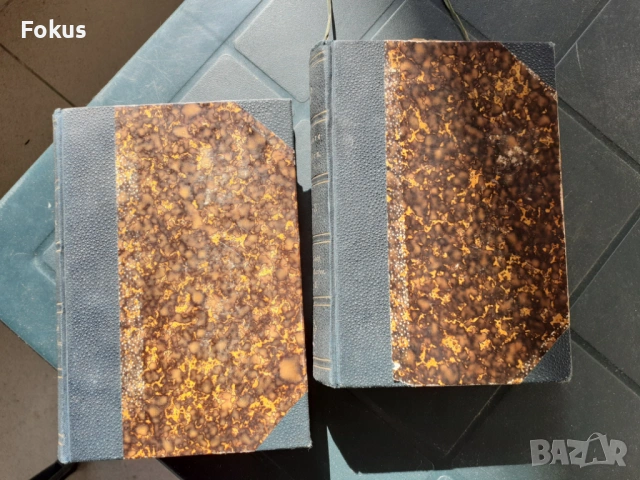 КНИГА - EMILIE FLUGARE-CARLEN - EINE NACHT AM BULLARSEE, снимка 2 - Антикварни и старинни предмети - 53486828