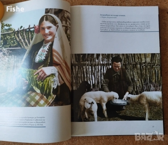 Продавам книгата "Царство България в цвят", снимка 2 - Художествена литература - 54118864
