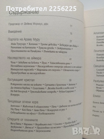 Пробуждане в Андите, снимка 8 - Художествена литература - 53922421