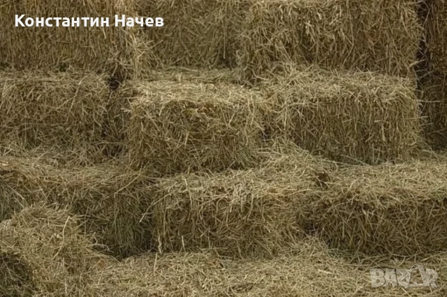 Бали балканско сено