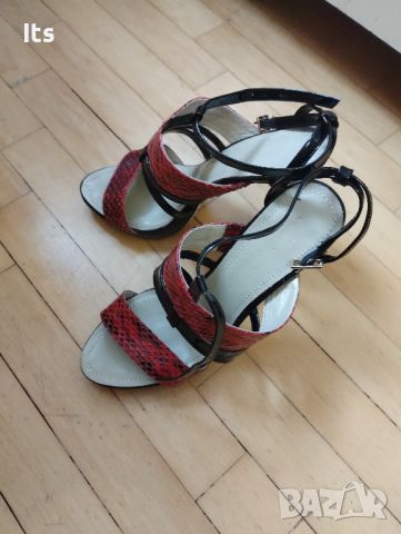 Дамски обувки на ток Massimo Zardi 