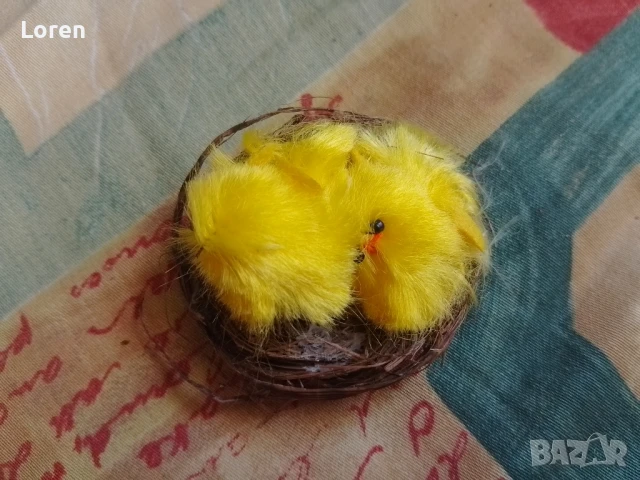 Подарявам пиленца в гнездо