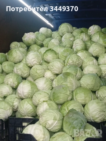 Продавам зеле