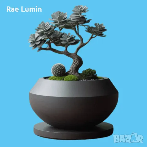 Обла кашпа, снимка 1