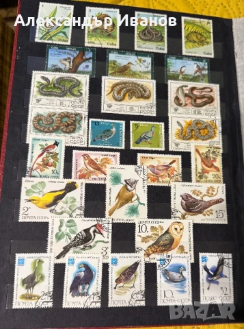 Стари пощенски марки, снимка 6 - Филателия - 51152353