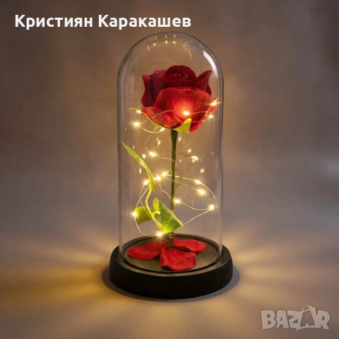 Вечна Роза в Купол с LED лампички в подаръчна кутия