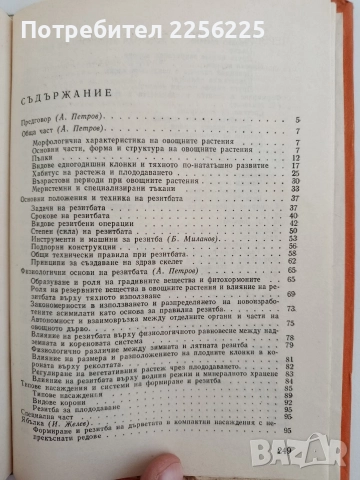 Резитба на овощните растения, снимка 7 - Специализирана литература - 52848996