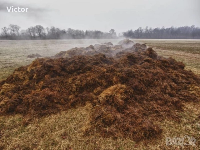 Обгоряла кравешка тор в различни разфасовки! С опция за доставка по домовете!, снимка 2 - Крави - 54180208