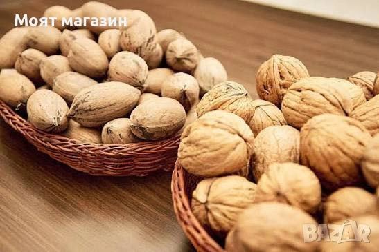 Орех Пекан - Pecan nuts, снимка 8 - Градински цветя и растения - 53631711