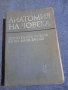 "Анатомия на човека", снимка 1