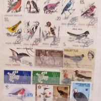 Малък класьор с марки птици 125 броя, снимка 1 - Филателия - 45456632