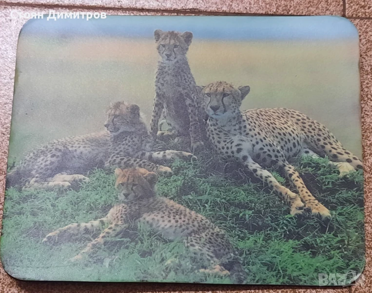 Подложки за мишка, снимка 1