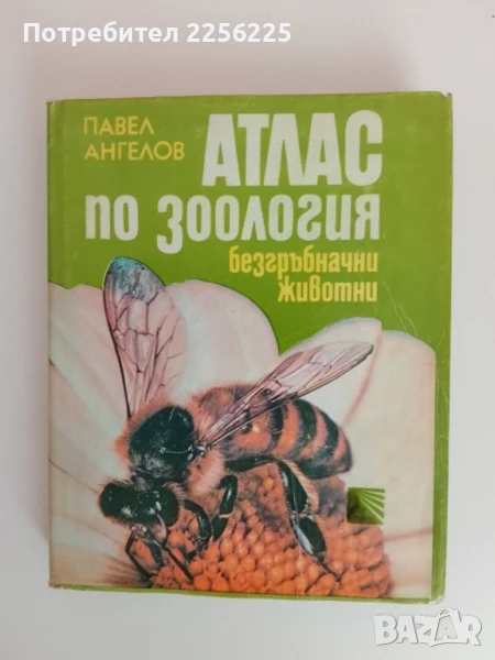 Атлас по зоология, снимка 1