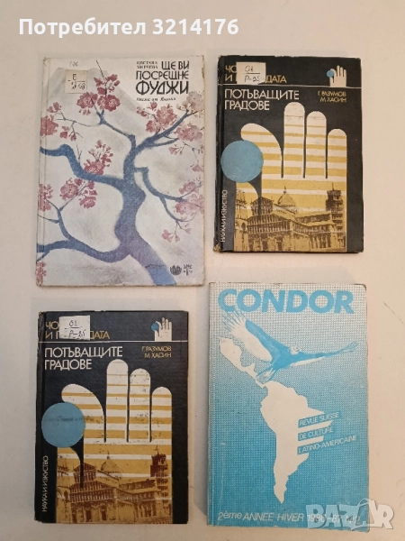 Потъващите градове - Генадий Разумов, Михаил Хасин, снимка 1