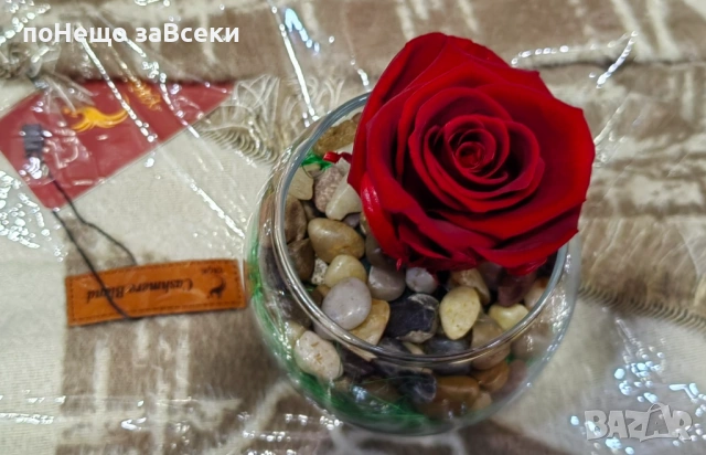 (НОВО) Вечна роза - вечна любов, снимка 2 - Декорация за дома - 53440618