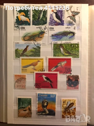 Класьор с марки предимно Фауна , снимка 11 - Филателия - 53513901