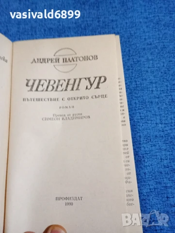 Андрей Платонов - Чевенгур , снимка 4 - Художествена литература - 50589679
