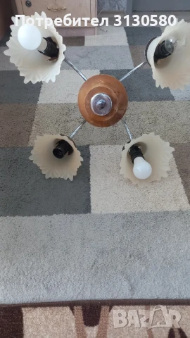 полилей  , снимка 3 - Полилеи - 50566303