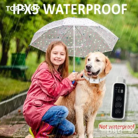 Нашийник за обучение на кучета против лай Citronella с дистанционно управление, снимка 9 - За кучета - 49866411