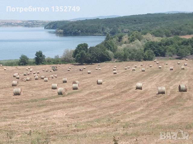 бали сена Еспарзета и Детелина, снимка 11 - За селскостопански - 46051543