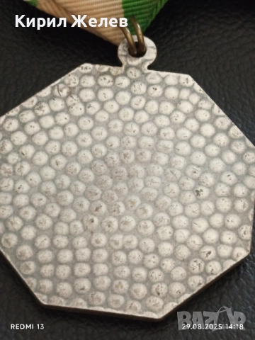 Медал замъка Рингелхайм Германия рядък за КОЛЕКЦИЯ ДЕКОРАЦИЯ 36413, снимка 6 - Антикварни и старинни предмети - 51533964