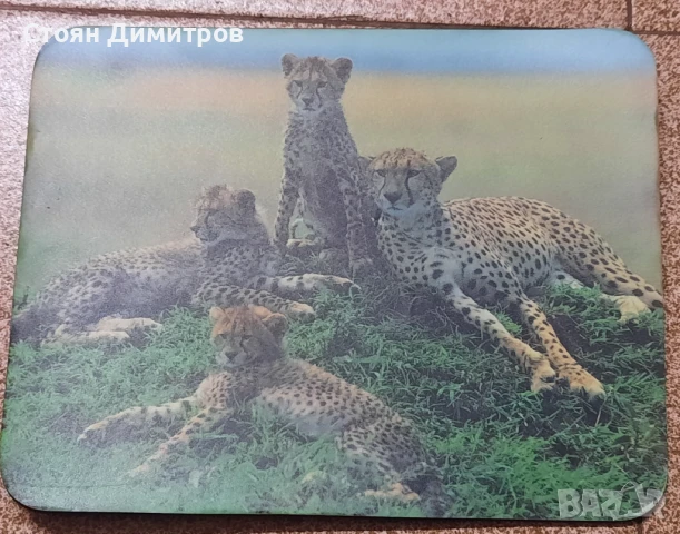 Подложки за мишка