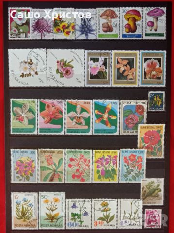 Пощенски марки тема ”Растения”., снимка 2 - Филателия - 45653043