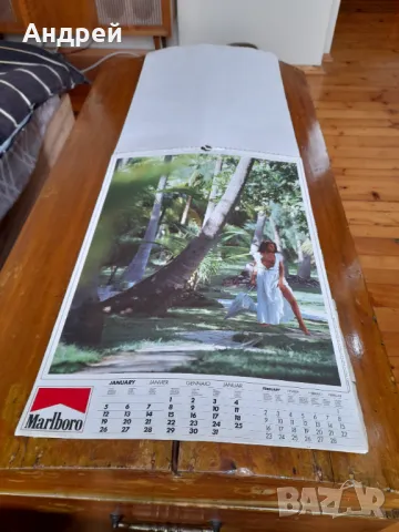 Стар Еротичен календар Marlboro 1986, снимка 3 - Други ценни предмети - 49785017