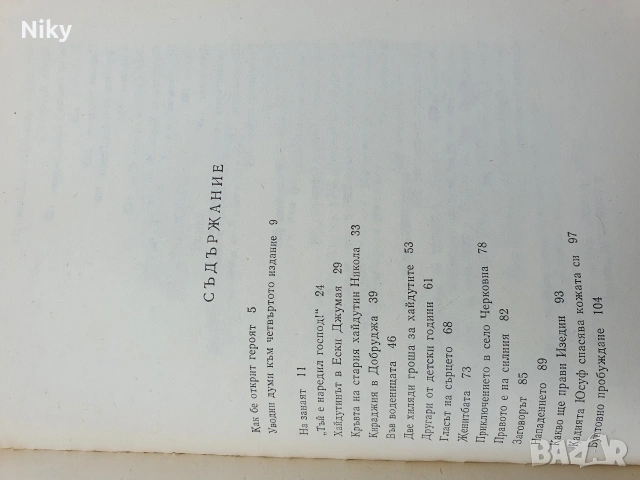 Знаменосецът-Петър Стъпов , снимка 5 - Българска литература - 53220689