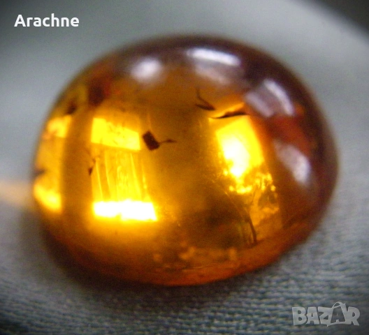 Кехлибар-кабошон с 4 комара и 1 крило, снимка 6 - Други - 48628017