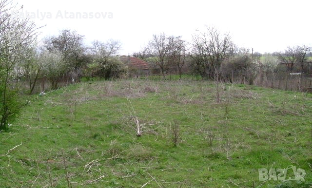 Къща за продажба в Рогозина, област Добрич, снимка 4 - Къщи - 53656445