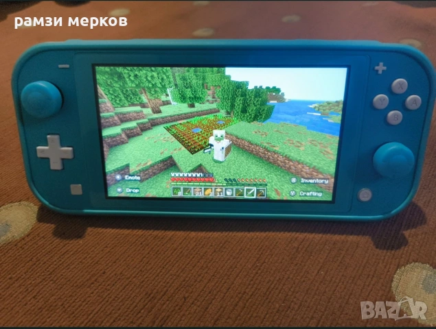 Nintendo switch lite