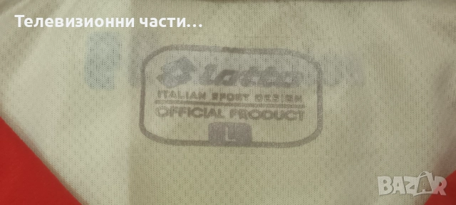 Футболна тениска Hoffenheim гостуващ екип сезон 2014/2015 Lotto R5351 размер L Хофенхайм, снимка 12 - Спортни дрехи, екипи - 51641337