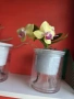 mini phalaenopsis в самополивна саксия, снимка 3