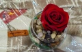 (НОВО) Вечна роза - вечна любов, снимка 2