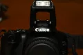 Canon 250D + Canon EF-S 18-55mm f/4-5.6 IS STM + филтър CPL+ сенник, снимка 3