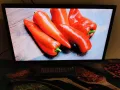 Телевизор-монитор  Samsung 22'' инча Led Full,цифров.LT22E310 , снимка 6