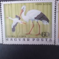 1977 г. Птици .Унгария., снимка 3 - Филателия - 45523221